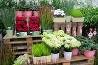 <p>«Unter der scheinbar stabilen Oberfläche brodelt es.» So beschrieb anlässlich des 17. IVG Medientages Garten in Köln der deutsche Experte Klaus Peter…</p>