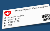 <p>Mit der Einführung des neuen Pflanzengesundheitsrechts im Januar 2020 werden alle Pflanzen passpflichtig. Ab dem 1. Januar 2020 dürfen Produktions-…</p>