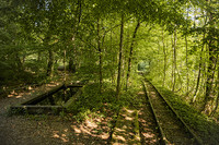 <p>Unter dem diesjährigen Motto «Biodiversität und Gesundheit» geht der mit 100 000 Franken höchst dotierte Umweltpreis der Schweiz an den Verein…</p>