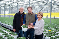 <p>Die Firma Verheyen-Baetcke, Issum, konzentriert sich auf die Produktion von Beet- und Balkonpflanzen sowie Callunen. Diese werden zum überwiegenden…</p>
