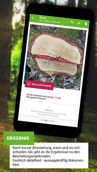 <p>Die neue App «Stockfibel to go»&nbsp;ist eine&nbsp;Handlungshilfe der deutschen Sozialversicherung für Landwirtschaft, Forsten und Gartenbau.&nbsp;Nach der…</p>