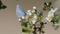 <p>Eine neue Metastudie belegt: Biolandbau bringt deutliche ökologische Vorteile – vor allem beim Wasser-, Boden- und Biodiversitätsschutz. Beim…</p>