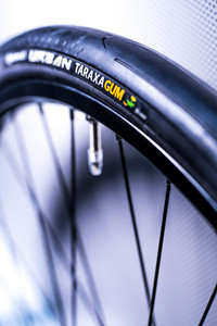 <p>Die modernen Züchtungsmethoden mittels Genschere versprechen grosse Fortschritte. So ist es US-amerikanischen Forschenden gelungen, den Gehalt von…</p>