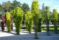 <p>Klar definierte Raumbildungen in Garten und Freiraum sind nicht nur mit Bäumen und Hecken, sondern auch mit begrünten Metallkonstruktionen möglich.…</p>
