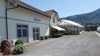 <p>Die Gemeindegärtnerei Schwyz in Ibach schliesst aufgrund unüberwindbarer Herausforderungen mit sofortiger Wirkung ihre Pforten.</p>