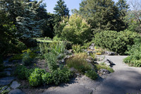 <p>Die Gemeinde Meyrin erhält den Schultess Gartenpreis 2019. Sie habe den Jardin botanique alpin mit sorgfältigen Interventionen zum lebendigen…</p>