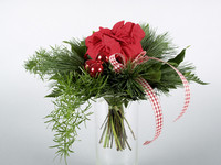 <p>Zwei Poinsettienseminare hat die LVG Hannover-Ahlem mit dem Gartenbauberatungsring Oldenburg und dem Ring Hannover im vergangenen November…</p>