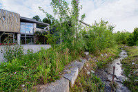 <p>Die Kuster Gärten AG wurde anfangs Juni 2020 für die naturnahe Gestaltung ihres Areals in Mühleberg&nbsp;mit dem Label der <a href="https://www.naturundwirtschaft.ch/de/" target="_blank">Stiftung Natur &amp; Wirtschaft</a>…</p>