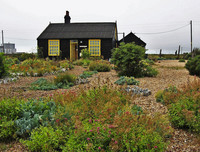 <p>Der britische Kunstfonds hat einen öffentlichen Aufruf zur Rettung von Derek Jarmans Haus und Garten in Dungeness, Kent, gestartet.</p>