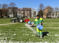 <p>Während zwei Jahren untersuchte die Stadtgärtnerei, ob und wie sich der Rasen in Parkanlagen biologisch pflegen lässt. Mit Unterstützung des…</p>