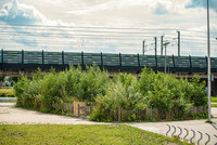 <p>Nach den Tiny Houses nun also die Tiny Forests. Der Trend der Miniwälder in der Stadt schwappt nicht aus den USA in die Welt, sondern aus Japan. Der…</p>