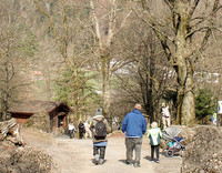 <p>Erste gute Erfahrungen für die Beurteilung von sicherheitstechnischen und baumpflegerischen Massnahmen bei Bäumen beim Tierpark Goldau sprechen für…</p>