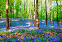 <p>Ein zuverlässigeres Zeichen als das Wetter, dass der Frühling vor der Tür steht und die Gartensaison bald beginnt, ist die Giardina Zürich. Sie findet…</p>