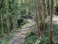 <p>Der Margarethenpark in Basel wird saniert. Dafür ist der Blick in ein spannendes Stück Gartengeschichte wichtig, ebenso wie die Arbeit der kantonalen…</p>