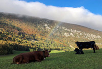 <p>Nach dem deutlichsten wärmsten September hat die Schweiz den zweitwärmsten Oktober seit Beginn der Aufzeichnungen im Jahr 1864 erlebt. Im Blog von…</p>