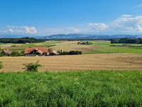 <p>Die Stiftung Landschaftsschutz Schweiz (SF-LP) ernennt die Weilerlandschaft am Frienisbergplateau zur Landschaft des Jahres 2024. Die SF-LP honoriert…</p>