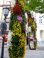 Das prächtige Blumentor