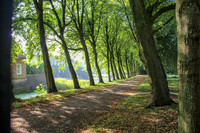 <p>Die traditonelle Studienreise der <a href="https://www.oeschberg.ch/bildung/hoehere-berufsbildung/dipl-techniker-in-hf-baufuehrung/" target="_blank" rel="noreferrer">Technikerklasse der Gartenbauschule Oeschberg</a> führte dieses Jahr in den Norden. In und im Umkreis von Bremerhaven…</p>