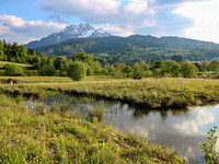 Ranger/innen für die Luzerner Allmend gesucht <p>Was an anderen Orten gut funktioniert, wird nun auch auf der Allmend in Luzern eingeführt: Freiwillige Rangerinnen und Ranger sollen auf der Allmend…</p>