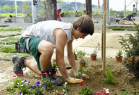<p>Nach neuem Ausbildungsplan besuchen die Lernenden im Laufe ihrer drei Ausbildungsjahre sieben überbetriebliche Kurse (üK). Der hier vorgestellte Kurs…</p>
