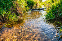 <p>Trockenperioden setzen das Grundwasser in der Schweiz zunehmend unter Druck. Ein neues Faktenblatt der Schweizerischen Gesellschaft für Hydrogeologie…</p>