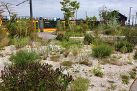 <p>Der 6. Binding Preis für Biodiversität 2026 wird unter dem Jahresthema «Biodiversität und Infrastrukturbauten» vergeben. Im Fokus stehen Projekte mit…</p>