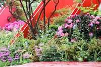 <p>Explizit war der Brexit kein Thema bei der diesjährigen Chelsea Flower Show. Dennoch gab es Veränderungen, die merken liessen: Es ist etwas im Gange…</p>