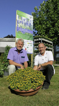 <p>Wie dergartenbau bereits im August meldete, übergibt Hugo Dittmar im Zuge einer Nachfolgeregelung sein Samenhandelsgeschäft an die Wyss Samen und…</p>