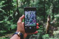 <p>Apps zur Erkennung von Pflanzen sind meist wenig treffsicher, das ergab eine Untersuchung der Universitäten von Galway und Leeds – keine der sechs…</p>