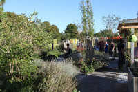 <p>Die Ausstellung für Biodiversität und nachhaltige Lebensraumgestaltung «(G)Artenvielfalt» in Dietikon geht in die zweite Runde. An der…</p>