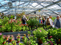 <p>Pflanzenliebhaberinnen aus der ganzen Schweiz besuchten am 10. Mai 2014 den Spezialitätenmarkt auf dem Campus Grüental der ZHAW in Wädenswil. Bei…</p>