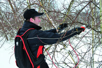 <p>Im Baum- und Gehölzschnitt, im Obst- und Weinbau – überall, wo Pflanzen geschnitten werden, erleichtern immer mehr Akku­scheren die Arbeit. Aber…</p>