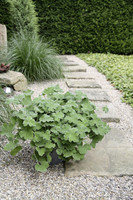 Mit kulinarischem Potenzial