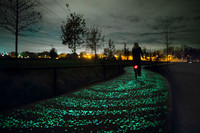 <p>Technopoesie nennt der niederländische Designer Daan Roosegaarde seine Erfindungen, die neue Impulse für die Gestaltung des öffentlichen Raumes…</p>