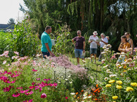 <p>Die Gärtnerwelt traf sich am 23. und 24. August 2023 im Versuchsgarten von Wyss in Zuchwil. Im tropisch anmutenden Klima liess die Sonne die Farben…</p>