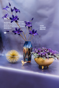 <p>Die Weltleitmesse des Gartenbaus lässt die an der Liveveranstaltung im Januar präsentierten Trends nochmals online aufleben: IPM Discovery Center und…</p>