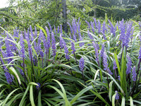 Um eine Flächenwirkung zu