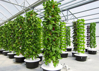 <p>Im Rahmen einer Technikerarbeit an der Staatsschule für Gartenbau in Stuttgart-Hohenheim wurde die Produktion von Schnittblumen in Aeroponic-Kultur am…</p>