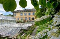 <p>Die Gartenbauschule Hünibach führt zusätzlich zum Zierpflanzenbau die EFZ-Ausbildung in den Fachrichtungen Stauden sowie Garten- und Landschaftsbau…</p>