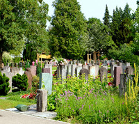Lebendiger Erfahrungsaustausch auf dem Friedhof Rosengarten <p>Die diesjährige «Erfa-Tagung Friedhöfe» begrüsste ihre Teilnehmenden auf dem Friedhof Rosengarten in Aarau. Organisiert von der Arbeitsgruppe…</p>