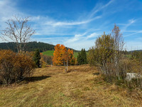 <p>Ein neuer&nbsp;Wanderführer, herausgegeben von Pro Natura, stellt 18 Routen zu den schönsten Moorgebieten in der Schweiz vor.&nbsp;Er enthält nicht nur exakte…</p>
