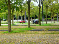 Der Parkplatz des LfU (Bayrisches