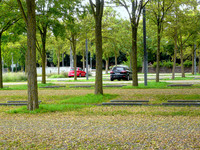 Grüner parken <p>Bei fast allen grösseren Freiraumprojekten sind auch Parkplätze zu planen. Da es sich hier häufig um grosse Flächen handelt, stehen nicht nur die…</p>