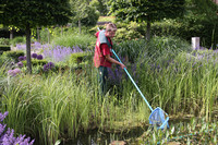 <p>Der Bau von Schwimmteichen und Naturpools hat sich zu einer wichtigen Säule im Auftragsspektrum des Garten- und Landschaftsbaus entwickelt. In den…</p>