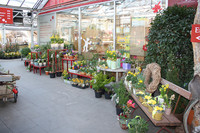 <p>Wenn im gärtnerischen Endverkauf grössere Projekte anstehen, die mit höheren Investitionen verbunden sind, sollte sich der Unternehmer absichern.…</p>