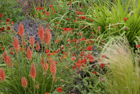 <p>Zwei namhafte Garten­gestalter zeichnen für die beiden Gärten von Bury Court in Hampshire verantwortlich: Christopher Bradley-Hole, bekannt für seinen…</p>