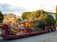 <p>Das Beladen von Nutzfahrzeugen, sei es mit Betonfertigteilen, Schüttgütern oder Maschinen und Geräten, ist aus Gründen der Verkehrs-sicherheit grösste…</p>