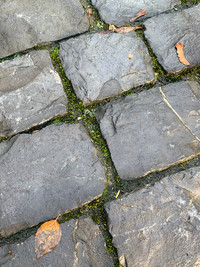 <p>Natursteinpflästerungen, ob mit Platten oder Steinformaten, sind nach wie vor sehr beliebt, bietet sich doch ein schier unerschöpfliches Potenzial an…</p>