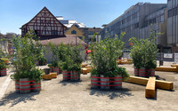 Winterthur: Sanierter Merkurplatz wird eingeweiht <p>Am kommenden Samstag, 15. August 2020, wird in Winterthur der sanierte Merkurplatz im Rahmen eines Einweihungsaktes der Bevölkerung übergeben. Mit…</p>