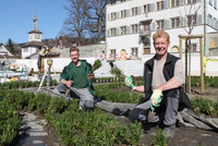 <p>Der Schlossgarten Hauptwil wird bis Ende 2022 in mehreren Etappen restauriert. Der in den 1660er-Jahren anglegete Barockgarten, gegliedert…</p>
